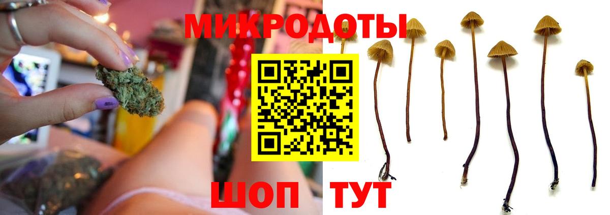 Галлюциногенные грибы Psilocybine cubensis  Галлюциногенные грибы мицелий  Вход с VPN  Сергиев Посад 